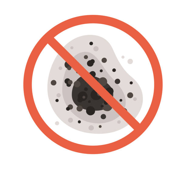 Best Comprehensive Air Testing for Mold Contaminants  in Tigard, OR