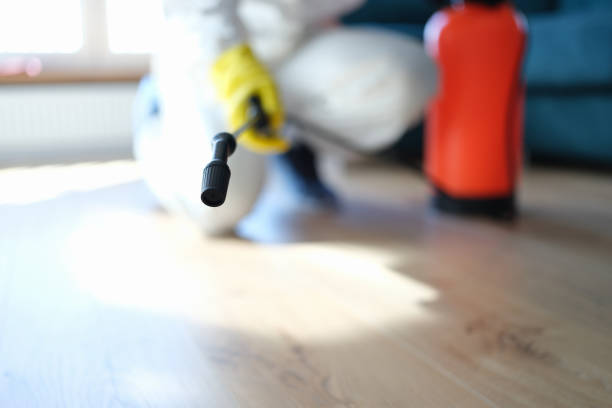 Best Water Damage & Mold Remediation  in Tigard, OR