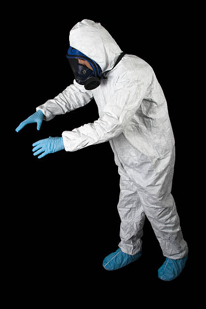 Professional Mold Removal in Tigard, OR